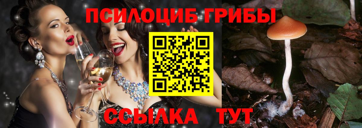 Москва  Псилоцибиновые грибы мицелий  Вход с VPN 